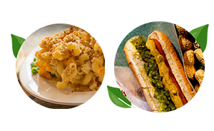 Plate of macaroni and cheese and hot dog